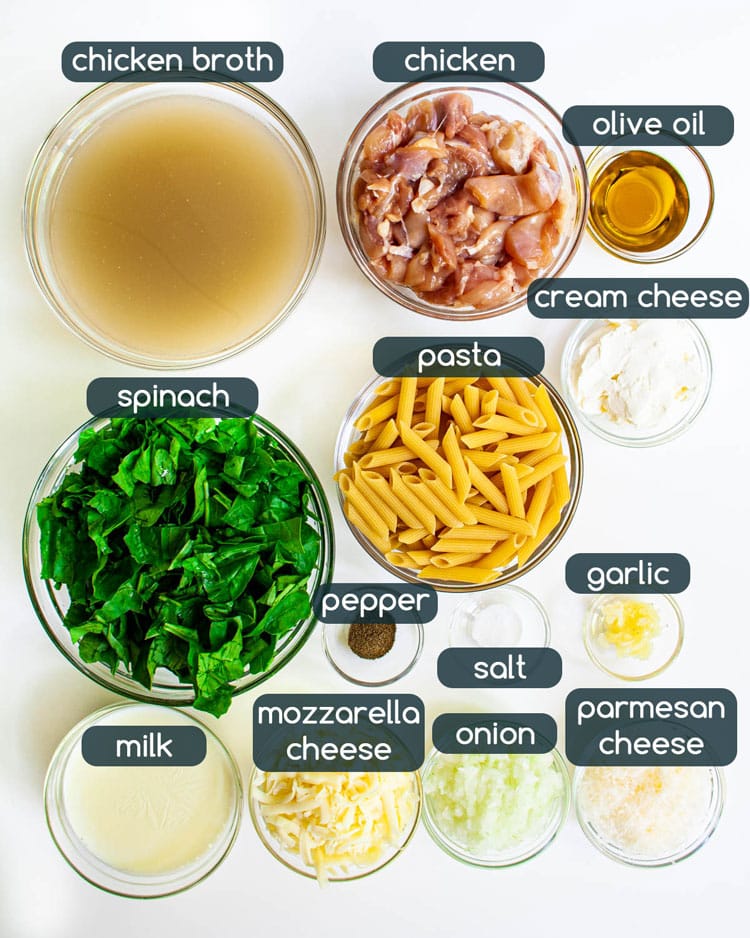 Cheesy Chicken Pasta overhead shot of all the ingredients needed to make cheesy chicken pasta